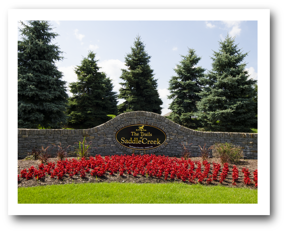 DSC_0234_web